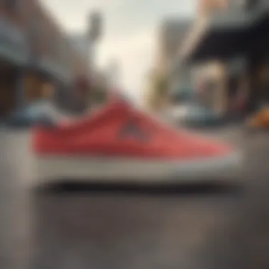 The Evolution of Skate Shoe Design Evolution of skate shoes through different eras