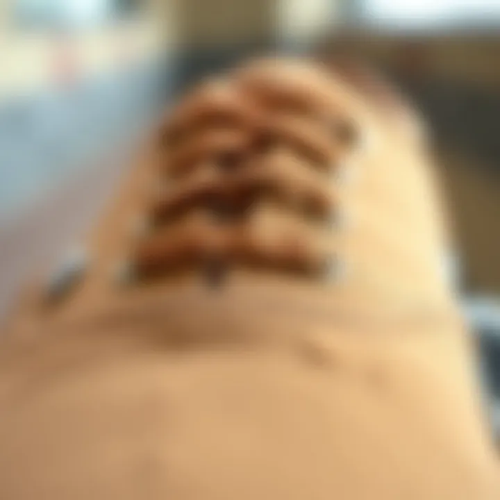 Detailed Texture of Vans Authentic Beige Sneakers Close-up view of Vans Authentic Beige showcasing the texture and material composition