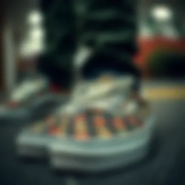 Distinctive Vans Footwear Styles Close-up of Vans footwear highlighting unique designs