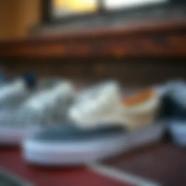 Comparison of Vans lightweight slip-ons alongside other popular skate shoe brands