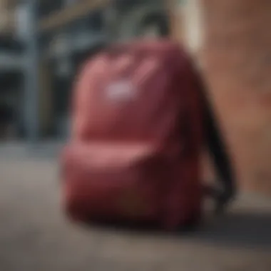 Vans Maroon Backpack showcasing its distinctive design and branding