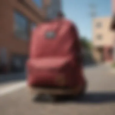 Vans Maroon Backpack being used in a skateboarding setting