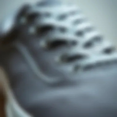 Material Texture of Vans Sk8 Low in Gray Close-up of the material texture on Vans Sk8 Low in gray