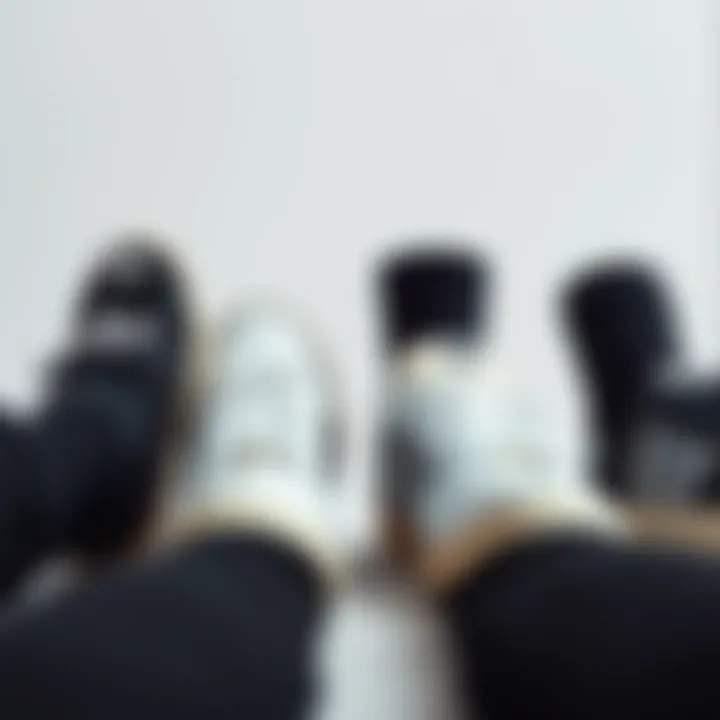 Variety of Skate Shoes with Socks Variety of skate shoes paired with black Adidas no show socks